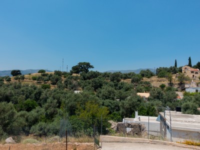 view from the terrace of the Kafenion