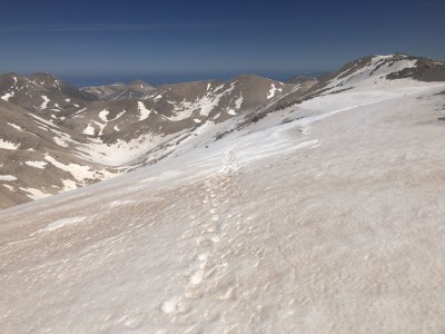 eigentlich ideale skitourenverhältnisse hier - top sulzschnee!!