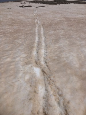 sliding down from Pachnes down to the saddle in direction to Trocharis