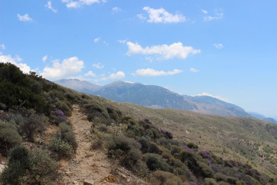 IMG_3578.jpg