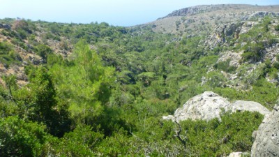 Seitenschlucht der Lissos-Schlucht