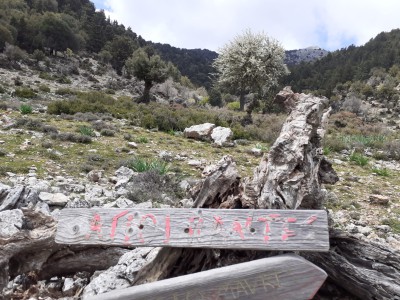 IMG-20230501-WA0004.jpg (392.13 KiB) 13950 mal betrachtet 200m weiter...