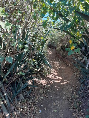 Wanderweg auf Fogo