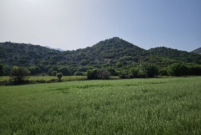 20240516_170509.jpg (210.03 KiB) 10055 mal betrachtet 20240516_170509.jpg