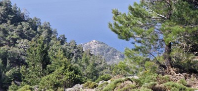 view to Prof. Illias