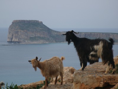 image003.jpg