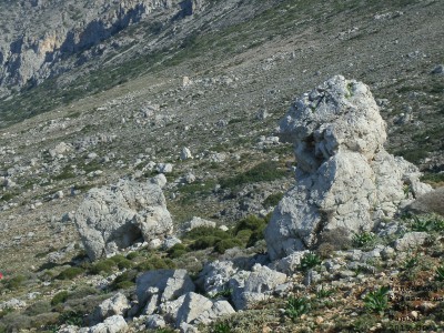 image006.jpg