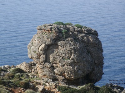 image007.jpg