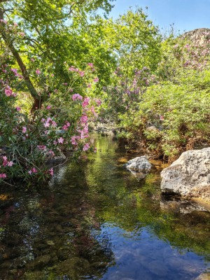Totenschlucht.jpg
