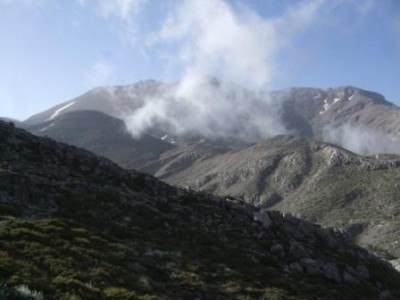 DSCF5577x.jpg (26.13 KiB) 8849 mal betrachtet Nachzügler