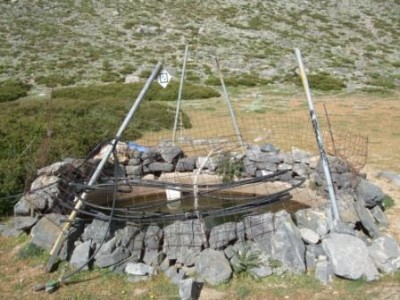 DSCF5584x.jpg (44.72 KiB) 8849 mal betrachtet E4-Stangen