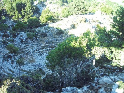 The amphitheater